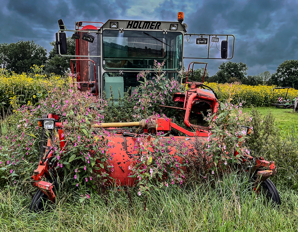 Platz 12 Juergen Bernd